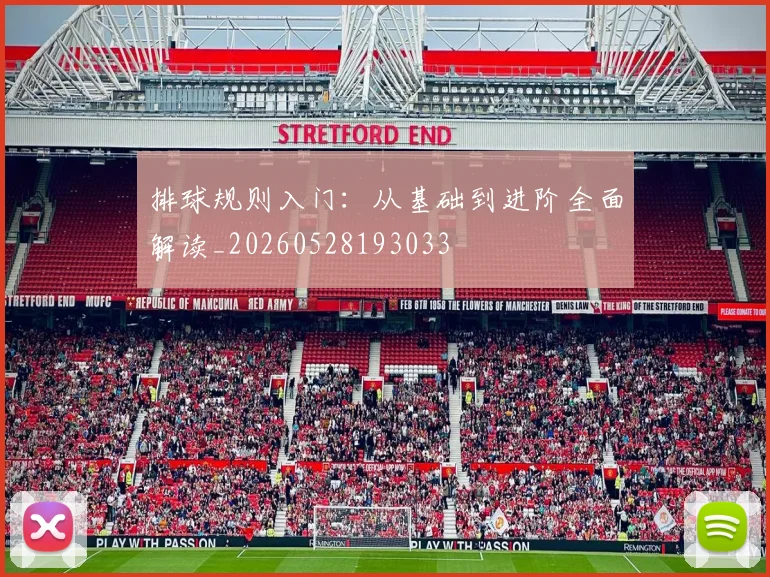 排球规则入门：从基础到进阶全面解读_20260528193033