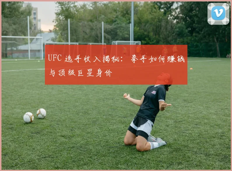 UFC 选手收入揭秘：拳手如何赚钱与顶级巨星身价