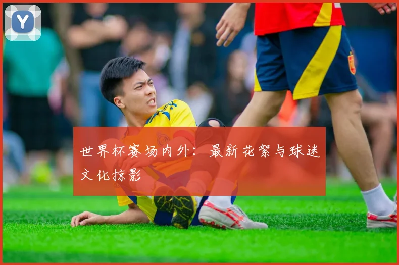 世界杯赛场内外：最新花絮与球迷文化掠影