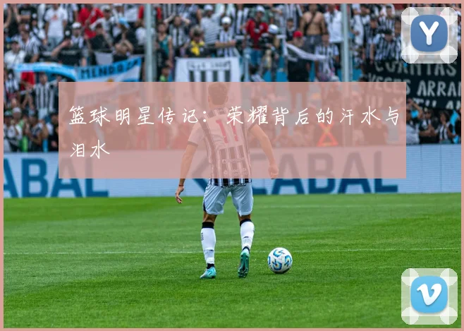 篮球明星传记：荣耀背后的汗水与泪水