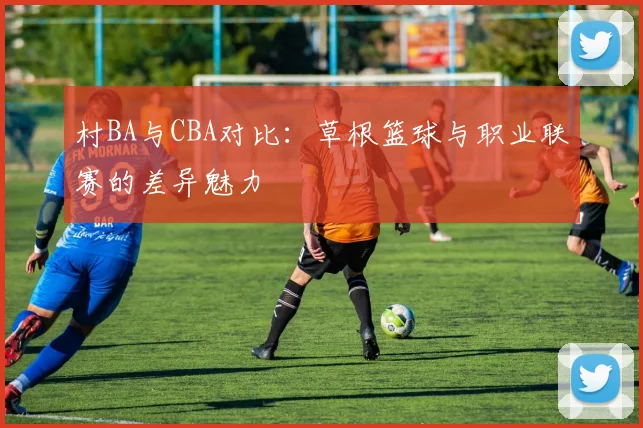 村BA与CBA对比：草根篮球与职业联赛的差异魅力
