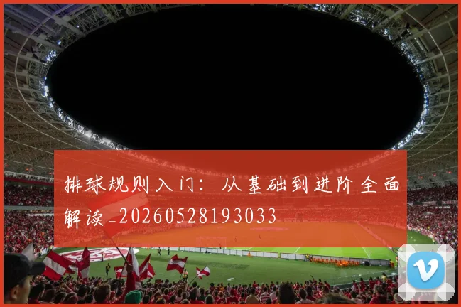 排球规则入门：从基础到进阶全面解读_20260528193033