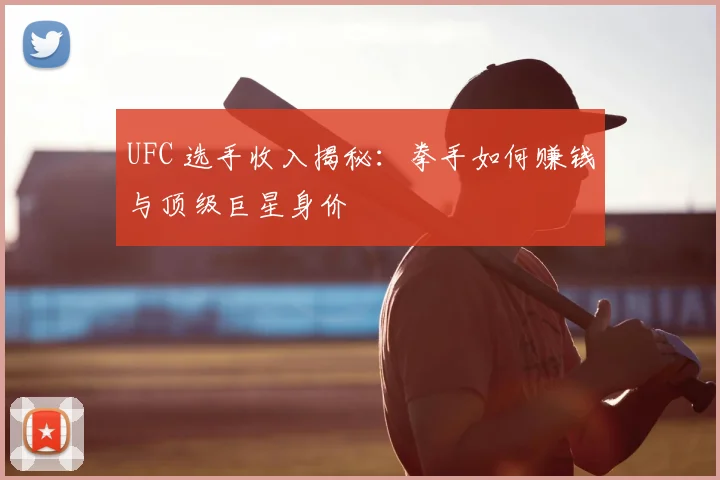 UFC 选手收入揭秘：拳手如何赚钱与顶级巨星身价