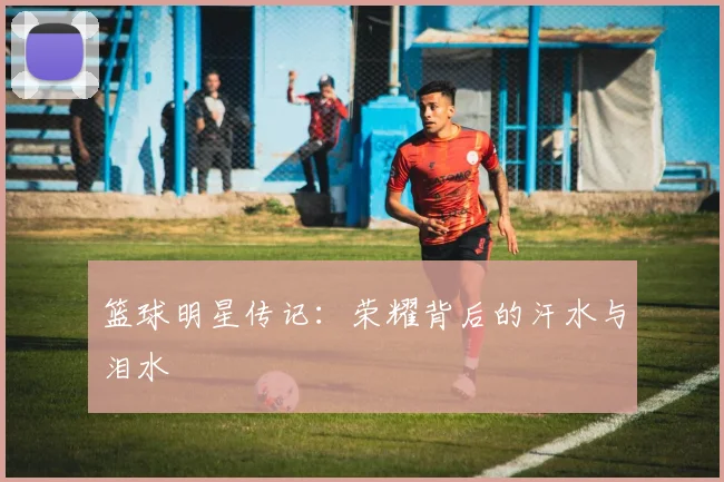 篮球明星传记：荣耀背后的汗水与泪水